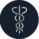 Logo van Vertaalbureau Stegeman