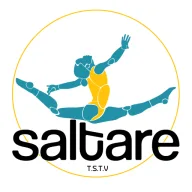 T.S.T.V. Saltare logo