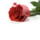 Annet Flowers logo