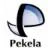 Gemeente Pekela logo