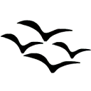 4LittleBirds logo