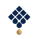 Dutch Protein AND Services B.V. logo