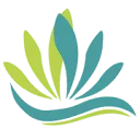 CST Finance logo
