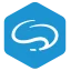 BlueMinds BV logo