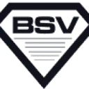 Bootstrap Ventures logo
