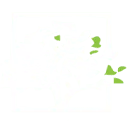 Wooddeck logo