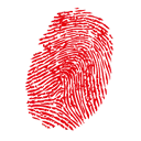 Vinger.nl logo
