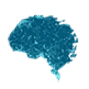 Umente Neuroscience Awareness Network logo