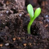 Biologische Tuin langs Klim en Dal logo