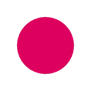 Youngwise BV logo