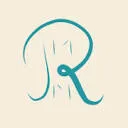 RMM Consulting Group logo