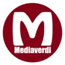 Mediaverdi logo