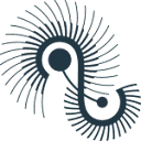 Heron Music logo