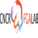 CNCR Center for Neurogenomics AND Cognitive Research logo