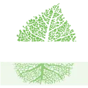 Heldergroen advies logo