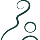Osteopathie Vlaardingen logo