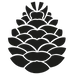 By Roots logo