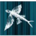 M advocatuur logo