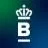 Royal Van Beest Green Pin® logo
