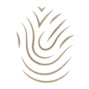 The green concept designers logo