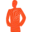 Seesing Flex logo