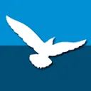 Dietsmann logo