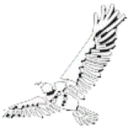 Sky Eyes Legal logo