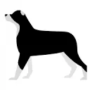 Border Colli logo