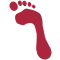 De Boer Orthopedie logo