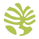 The Pearl of the Caribbean logo