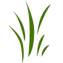 Summio Vakantiepark De Berkenhorst logo