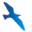 Prima Vista logo