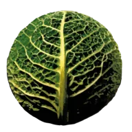 De Eemstuin logo