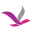 Mosae Group Travel logo