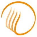 Gouda Vuurvast Services logo