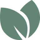 Devi Kids logo