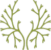 The Breathing Space logo