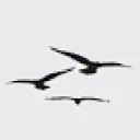 Nature Quest logo