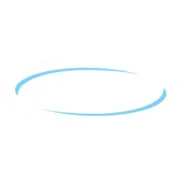 Royal Lactalis Leerdammer logo