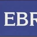 Ebritec ICT Consultancy logo