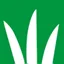 DLF B.V. logo