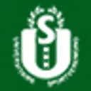 US handbal logo