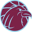 Arnhem Eagles Basketbalvereniging logo