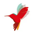 KokxDeVoogd logo