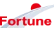 Fortune Energy Distributions NE B.V. logo