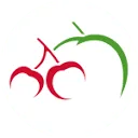 Kervo logo