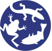 RAVON logo