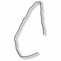 Processix Software Development logo