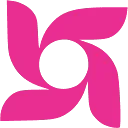 BRAC International Holdings B.V. logo