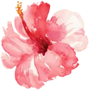 Temploola logo
